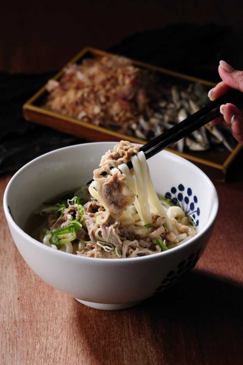 Carne udon